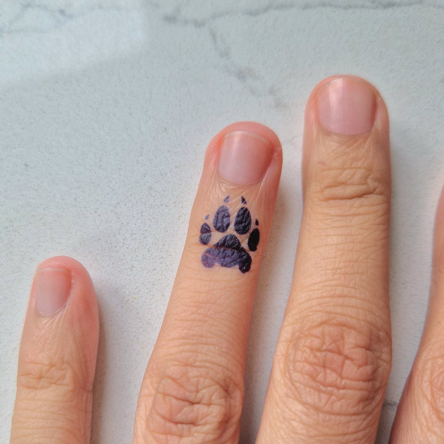 Tiger Cubs | 4x Mini 100% Natural Semi-Permanent Jagua Gel Tattoo
