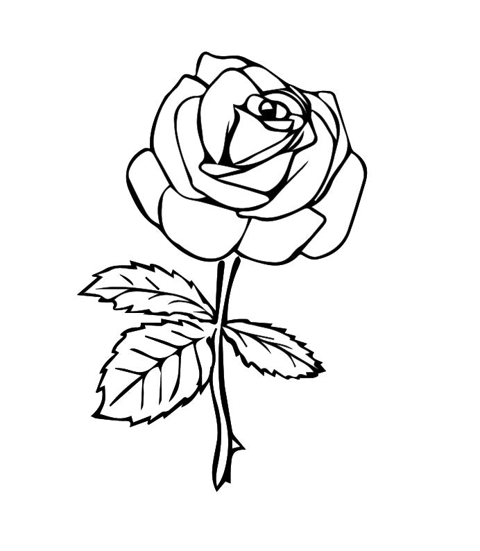 Romantic Rose | 100% Natural Semi-Permanent Tattoo Stain | Jagua Gel